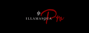 ILLAMASQUA PRO: NEWSLETTER, ISSUE 8, MARCH 2021